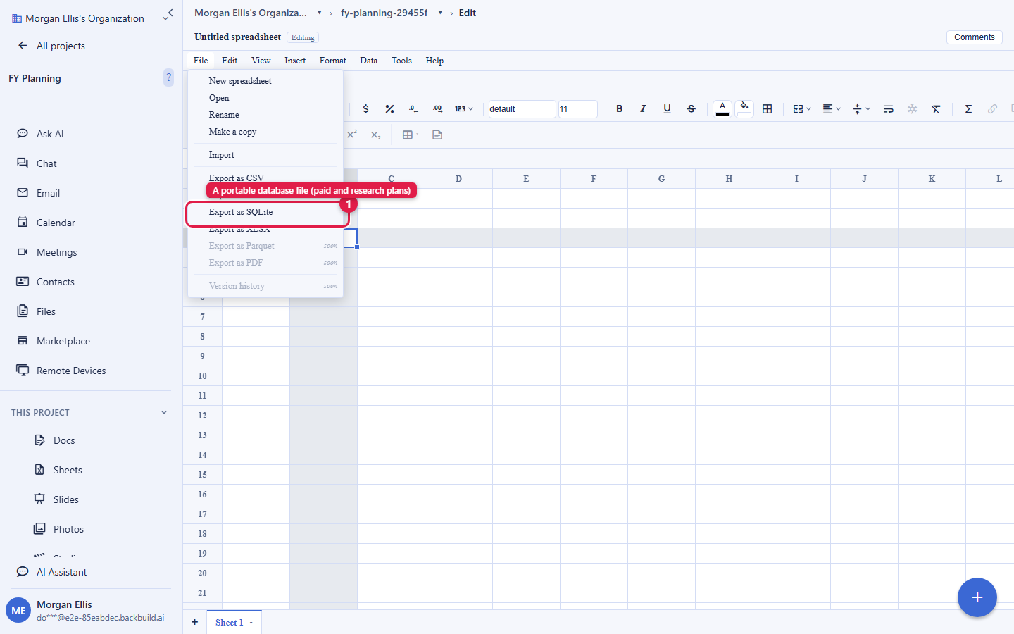 The Backbuild Sheets File menu open, listing New spreadsheet, Open, Rename, Make a copy, Import, and the export options. Export as CSV, Export as SQLite, and Export as XLSX are available, with Export as SQLite circled and labelled A portable database file, on the paid and research plans. Export as Parquet, Export as PDF, and Version history are greyed out as coming soon.